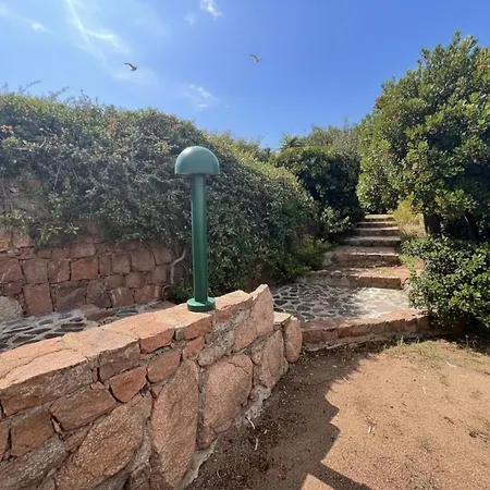 8 Arbousiers 17 Bonifacio (Corsica)